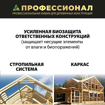 картинка Антисептик для каркасов ПРОФЕССИОНАЛ Frame Green концентрат 1:19, с зеленым контролем нанесения 1л от магазина Кубатура
